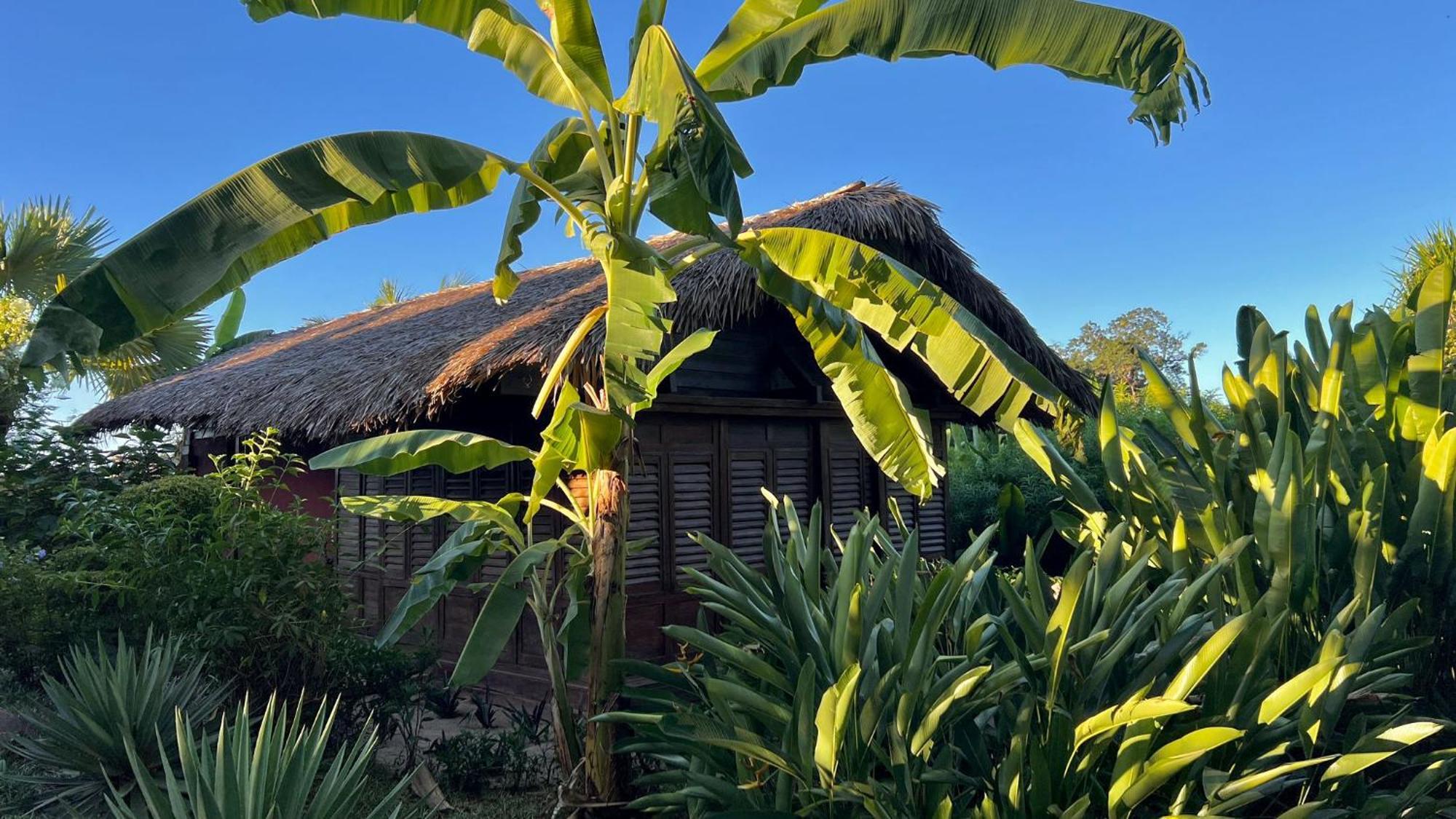 Manga Soa Lodge Fascene - Befefika Bagian luar foto